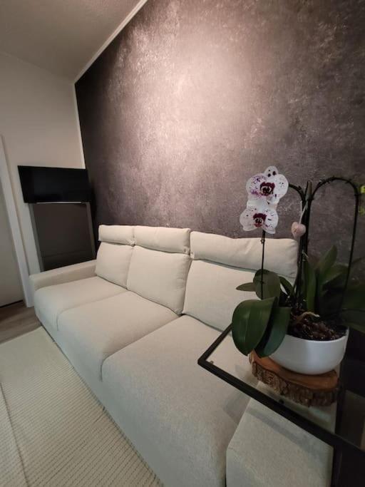 Apartament Waldstuebchen Quedlinburg Zewnętrze zdjęcie